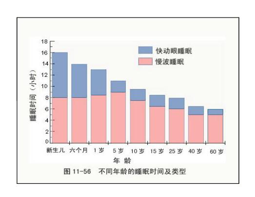 每日深度睡眠时间随年龄增长越来越少