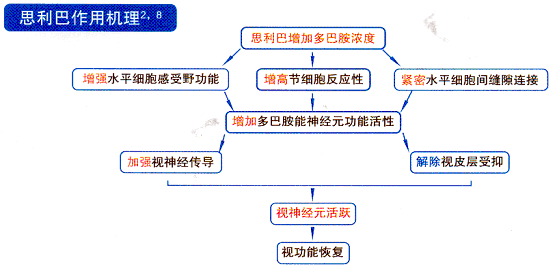 左旋多巴治疗儿童弱视的机理